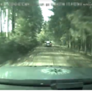 policajná naháňačka, les, Policie ČR