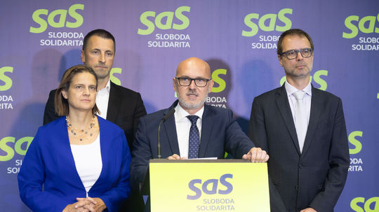 „Ručná brzda proti krádežiam.“ SaS žiada návrat horalkového paragrafu a nový druh trestu za mrežami