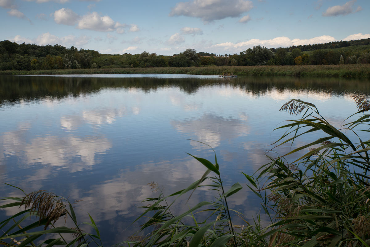 Odkalisko Poša, z ktorého sa PCB látky uvoľňujú...