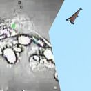 Sily špeciálnych síl Ukrajiny, ruské sklady, Šáhidy