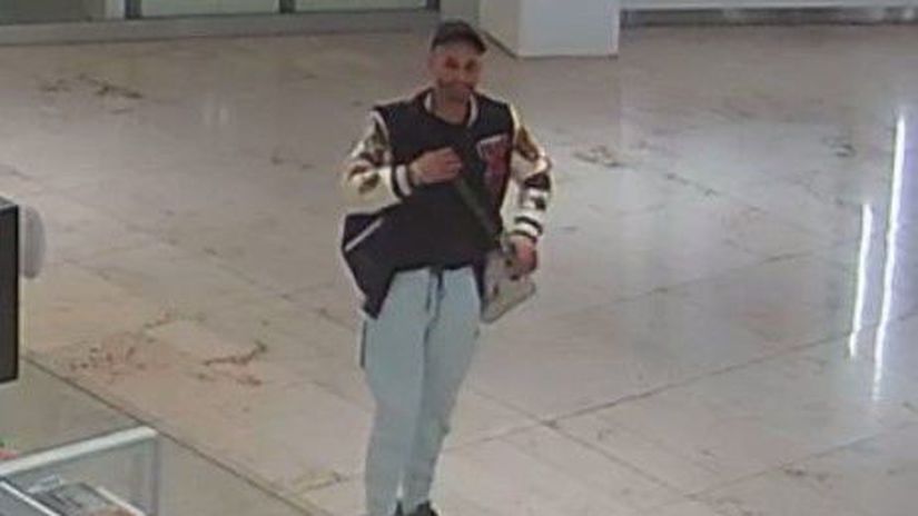 zlodej, Bratislava,  polícia SR