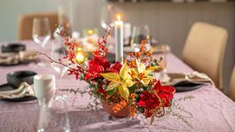 Vianočná ruža v úlohe jesennej dekorácie