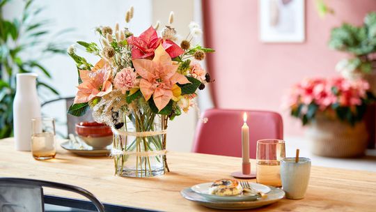 vianočná ruža, jeseň,