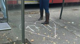 Novembrová kriedová vlna