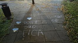 Novembrová kriedová vlna