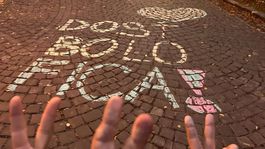 Novembrová kriedová vlna