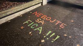 Novembrová kriedová vlna