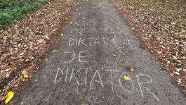 Novembrová kriedová vlna