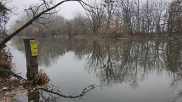 loď, Korzo Zálesie