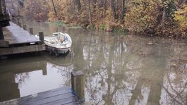 loď, Korzo Zálesie