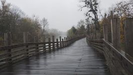 loď, Korzo Zálesie