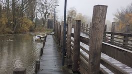 loď, Korzo Zálesie