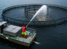 Zákaz kúpania sa 3 kilometre od rybích...