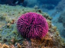 Zdanlivo jednoduché, v skutočnosti...