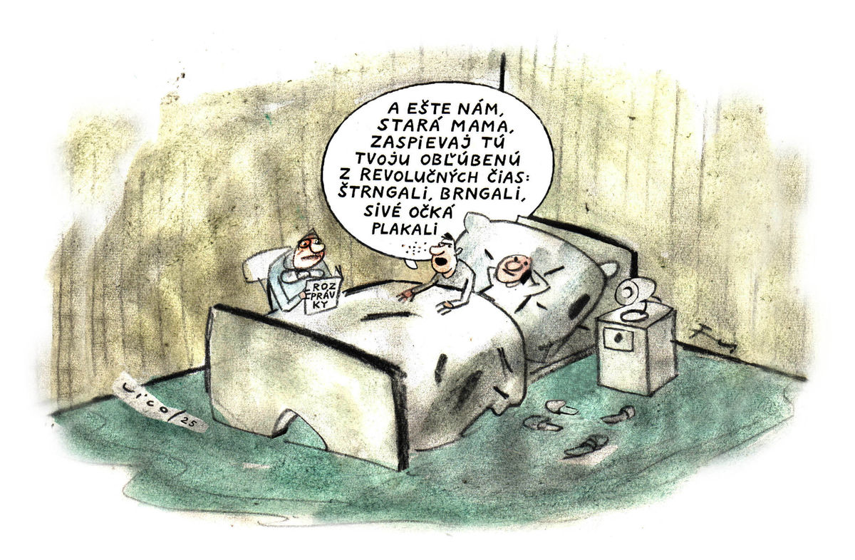 Karikatúra 17.11.2025