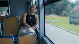 Virtuálna priateľka