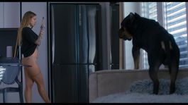 Virtuálna priateľka