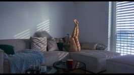 Virtuálna priateľka