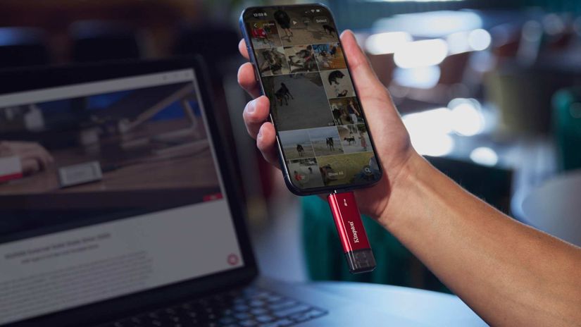 Kingston Dual Portable SSD LS03