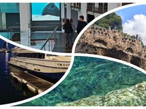 mReportér, koláž, fotky