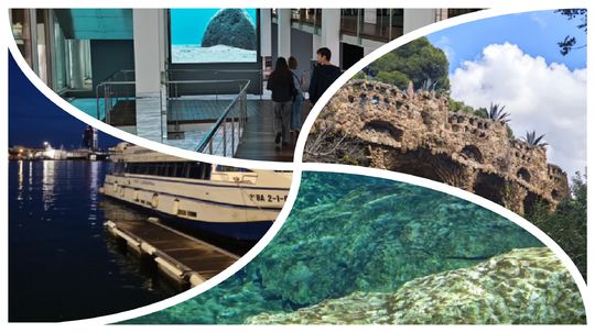 Známa metropola láka milióny turistov ročne. Zábery na videu ukážu, prečo je taká atraktívna