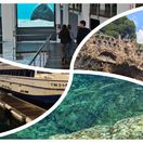 mReportér, koláž, fotky