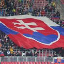 slovenskí fanúšikovia