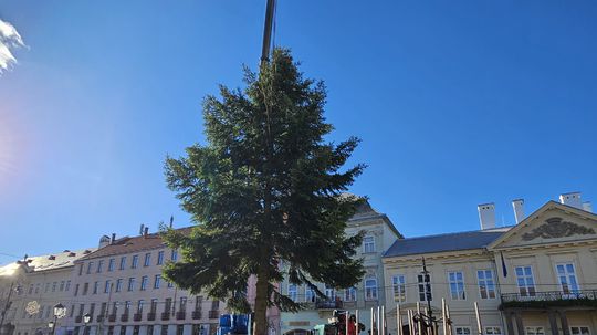 Na košickej Hlavnej „zasadili" vianočný strom. Predtým stál pri škole