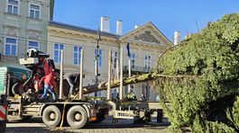 Aj Košice majú oddnes svoj vianočný strom....