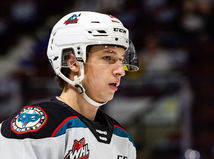 Kanadský hokejista chce reprezentovať...