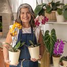 orchidea, 2405670867