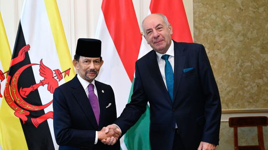 „Záujem národnej bezpečnosti.“ Výdavky na cesty maďarského prezidenta utajili