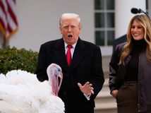 Trump  melania moriak