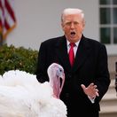 Trump  melania moriak