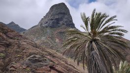 Foto týždňa: India, sviatky, vzdialenosť