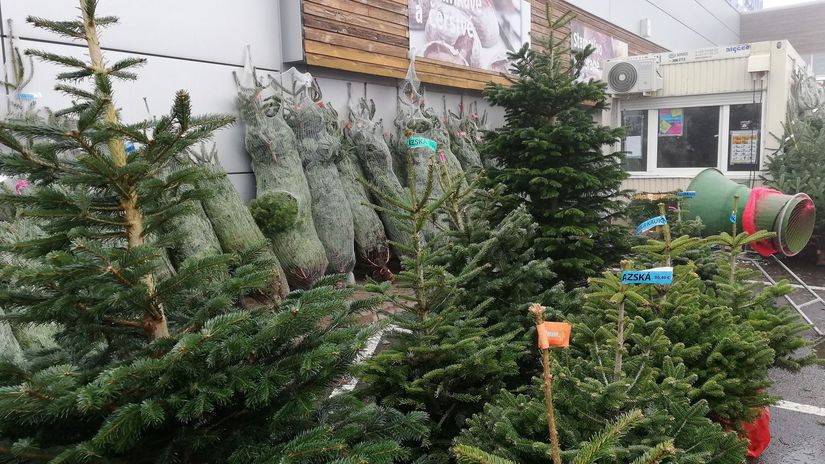 Stromčeky ponúkané pred supermarketmi sú...