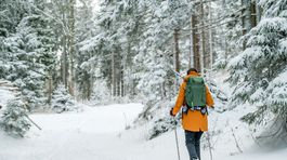 V Dolnom Rakúsku sú skvelé podmienky na...