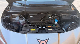 Cupra Tavascan Endurance (2025)