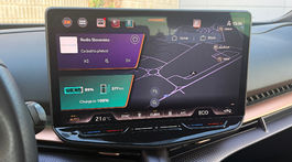 Cupra Tavascan Endurance (2025)