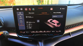 Cupra Tavascan Endurance (2025)