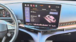 Cupra Tavascan Endurance (2025)