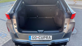 Cupra Tavascan Endurance (2025)