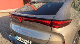 Cupra Tavascan Endurance (2025)