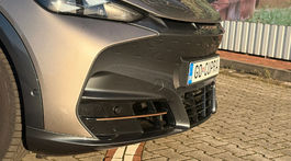 Cupra Tavascan Endurance (2025)