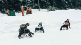 IE Winter, Dolné Rakúsko, zima, sneh