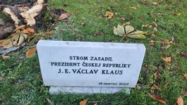 Spadnutý strom v Grasalkovičovej záhrade.