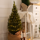 vianočný stromček, mini stromček, stromček v kvetináči,