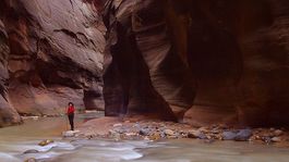 Národný park, Zion, Utah, USA