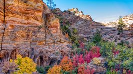 Národný park, Zion, Utah, USA