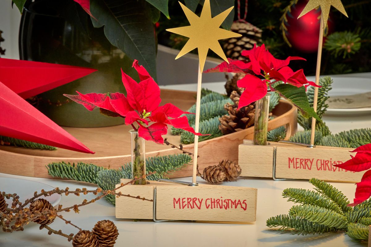 Vytvorte si prírodné hravé dekorácie na stôl....